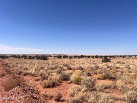 Tiny photo for 598B Hopi Lane, Snowflake, AZ 85937 (MLS # 255921)
