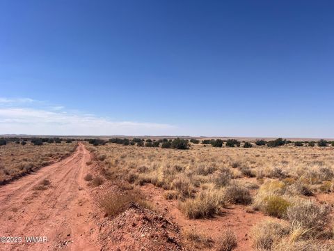 Photo of 598B Hopi Lane, Snowflake, AZ 85937 (MLS # 255921)
