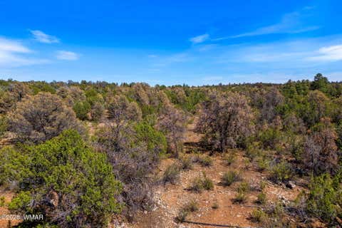 Tiny photo for 3371 Weese Run, Overgaard, AZ 85933 (MLS # 262842)