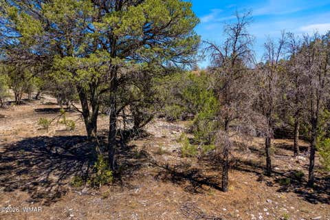 Photo of 3371 Weese Run, Overgaard, AZ 85933 (MLS # 262842)