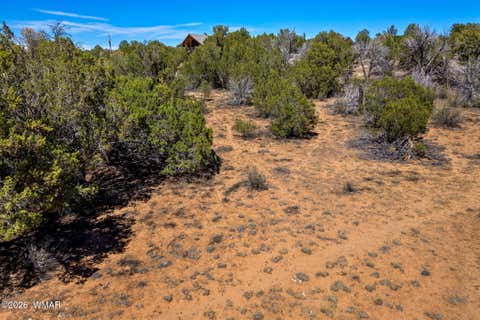 Tiny photo for 3371 Weese Run, Overgaard, AZ 85933 (MLS # 262842)