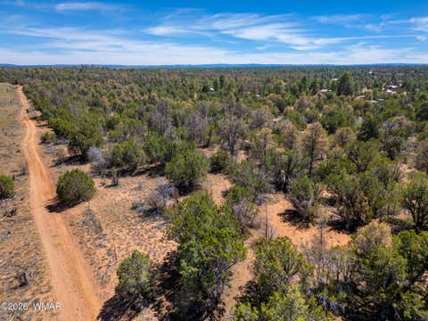 Tiny photo for 3371 Weese Run, Overgaard, AZ 85933 (MLS # 262842)