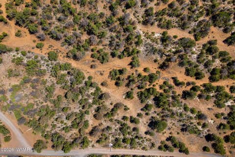 Tiny photo for 3371 Weese Run, Overgaard, AZ 85933 (MLS # 262842)