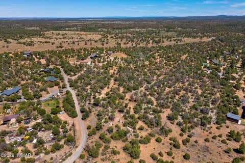 Tiny photo for 3371 Weese Run, Overgaard, AZ 85933 (MLS # 262842)
