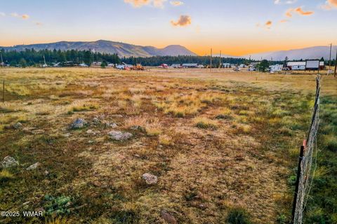 Tiny photo for 440 2104, Alpine, AZ 85920 (MLS # 255799)