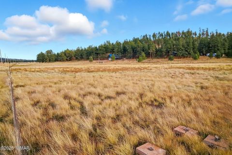 Tiny photo for 440 2104, Alpine, AZ 85920 (MLS # 255799)