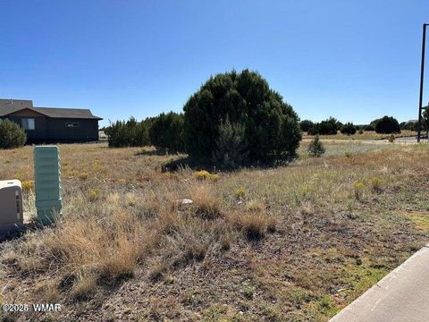Tiny photo for 1001 S Ridgeway Place, Show Low, AZ 85901 (MLS # 256469)