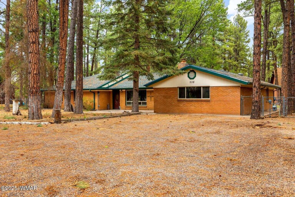 Photo for 538 S Woodland Lane, Pinetop, AZ 85935 (MLS # 257689)
