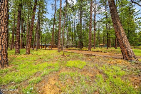 Tiny photo for 538 S Woodland Lane, Pinetop, AZ 85935 (MLS # 257689)