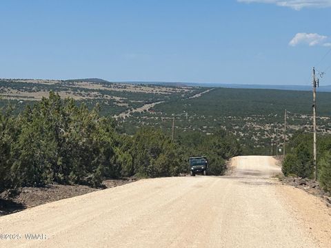 Tiny photo for lot 11 Uphill Trail, Vernon, AZ 85940 (MLS # 257481)
