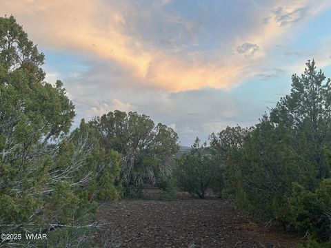 Tiny photo for lot 11 Uphill Trail, Vernon, AZ 85940 (MLS # 257481)