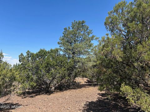Tiny photo for lot 11 Uphill Trail, Vernon, AZ 85940 (MLS # 257481)
