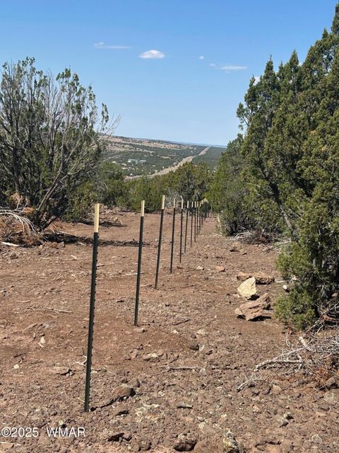 Tiny photo for lot 11 Uphill Trail, Vernon, AZ 85940 (MLS # 257481)