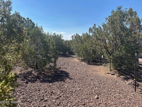 Tiny photo for lot 11 Uphill Trail, Vernon, AZ 85940 (MLS # 257481)