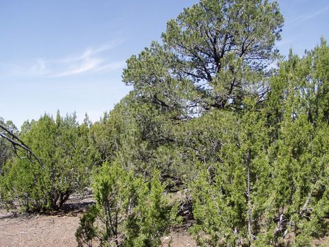 Photo of lot 11 Uphill Trail, Vernon, AZ 85940 (MLS # 257481)