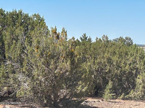 Tiny photo for lot 11 Uphill Trail, Vernon, AZ 85940 (MLS # 257481)