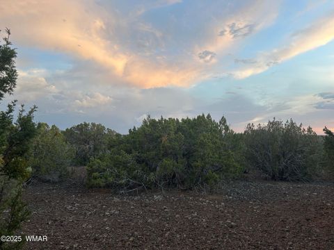 Tiny photo for lot 11 Uphill Trail, Vernon, AZ 85940 (MLS # 257481)