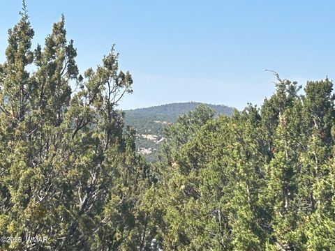 Tiny photo for lot 11 Uphill Trail, Vernon, AZ 85940 (MLS # 257481)