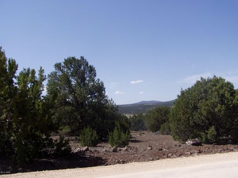 Tiny photo for lot 11 Uphill Trail, Vernon, AZ 85940 (MLS # 257481)