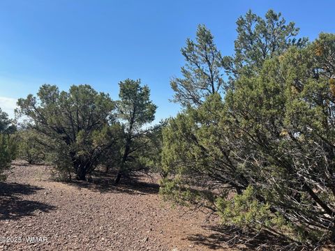 Tiny photo for lot 11 Uphill Trail, Vernon, AZ 85940 (MLS # 257481)