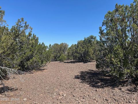 Tiny photo for lot 11 Uphill Trail, Vernon, AZ 85940 (MLS # 257481)