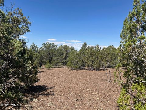 Tiny photo for lot 11 Uphill Trail, Vernon, AZ 85940 (MLS # 257481)