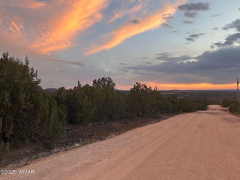 Tiny photo for lot 11 Uphill Trail, Vernon, AZ 85940 (MLS # 257481)