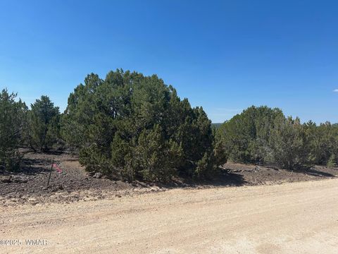 Tiny photo for lot 11 Uphill Trail, Vernon, AZ 85940 (MLS # 257481)