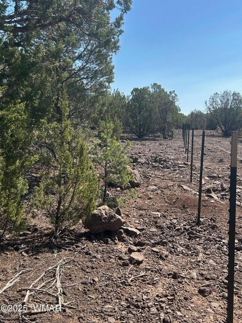 Tiny photo for lot 11 Uphill Trail, Vernon, AZ 85940 (MLS # 257481)