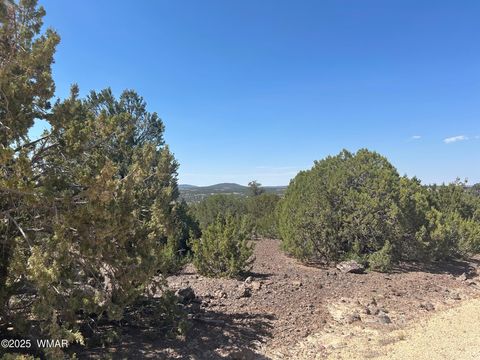Tiny photo for lot 11 Uphill Trail, Vernon, AZ 85940 (MLS # 257481)