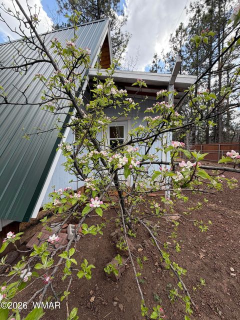 Tiny photo for 2770 Beavertail Lane, Pinetop, AZ 85935 (MLS # 260226)