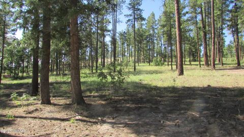 Tiny photo for 8 County Road 2194, Alpine, AZ 85920 (MLS # 257288)