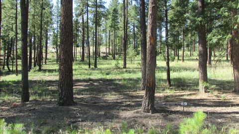 Tiny photo for 8 County Road 2194, Alpine, AZ 85920 (MLS # 257288)