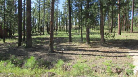 Tiny photo for 8 County Road 2194, Alpine, AZ 85920 (MLS # 257288)