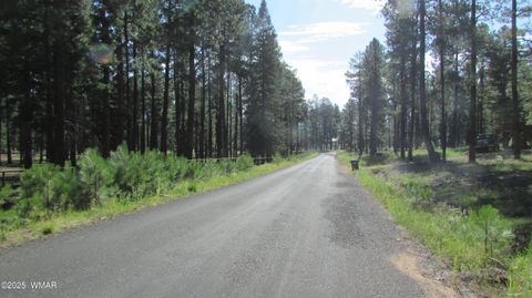 Tiny photo for 8 County Road 2194, Alpine, AZ 85920 (MLS # 257288)