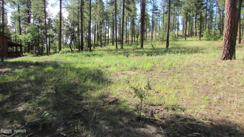 Tiny photo for 8 County Road 2194, Alpine, AZ 85920 (MLS # 257288)
