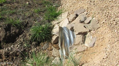 Tiny photo for 8 County Road 2194, Alpine, AZ 85920 (MLS # 257288)