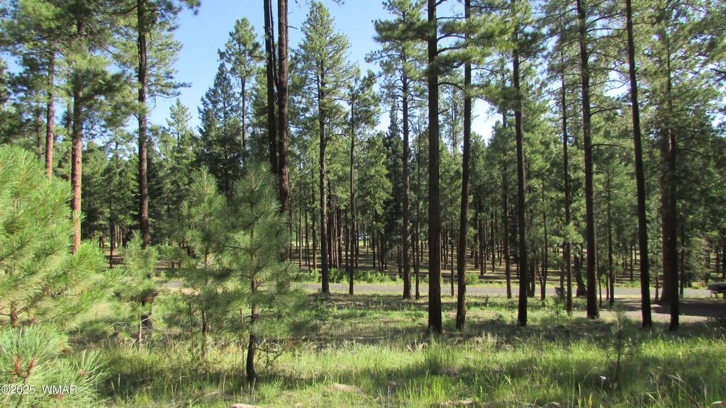 Photo for 8 County Road 2194, Alpine, AZ 85920 (MLS # 257288)