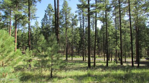Photo of 8 County Road 2194, Alpine, AZ 85920 (MLS # 257288) Photo of 8 County Road 2194, Alpine, AZ 85920 (MLS # 257288)