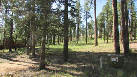Tiny photo for 8 County Road 2194, Alpine, AZ 85920 (MLS # 257288)