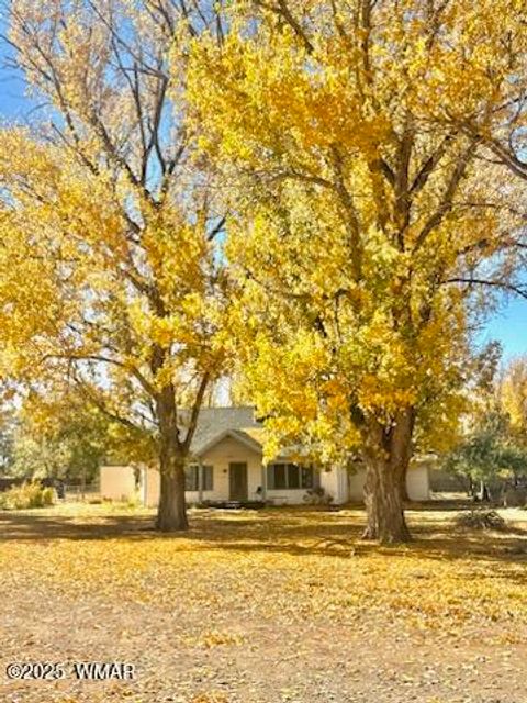 Photo of 590 W 2nd Street, Saint Johns, AZ 85936 (MLS # 258929)