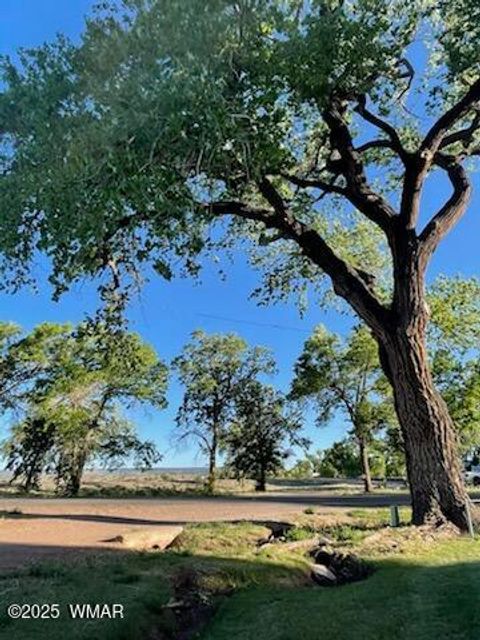 Tiny photo for 590 W 2nd Street, Saint Johns, AZ 85936 (MLS # 258929)