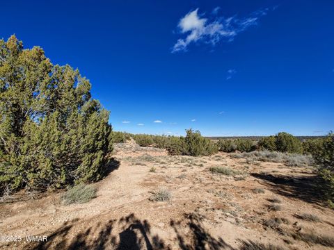 Tiny photo for Parcel 2 W Shumway Rd, Taylor, AZ 85939 (MLS # 258768)