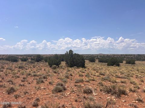 Tiny photo for 7660 Silver Creek Trail, Snowflake, AZ 85937 (MLS # 259886)