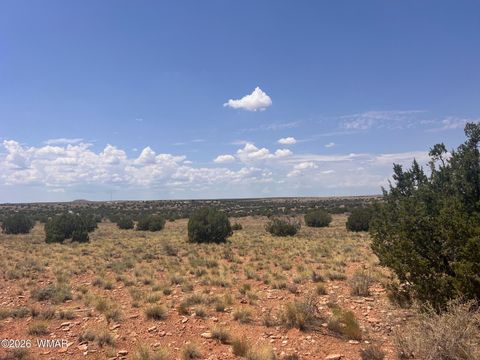 Tiny photo for 7660 Silver Creek Trail, Snowflake, AZ 85937 (MLS # 259886)
