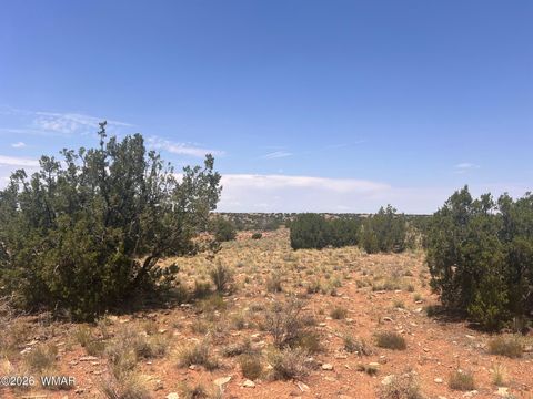 Tiny photo for 7660 Silver Creek Trail, Snowflake, AZ 85937 (MLS # 259886)