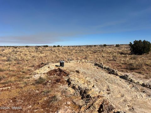 Tiny photo for 7660 Silver Creek Trail, Snowflake, AZ 85937 (MLS # 259886)