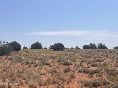 Tiny photo for 7660 Silver Creek Trail, Snowflake, AZ 85937 (MLS # 259886)