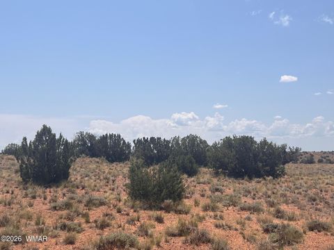 Tiny photo for 7660 Silver Creek Trail, Snowflake, AZ 85937 (MLS # 259886)