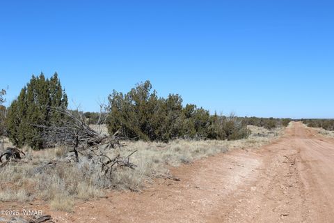 Tiny photo for 1924 Hutch Road, Heber, AZ 85928 (MLS # 254101)